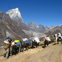 activities in Everest