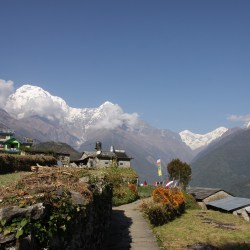 Best Times to Visit nepal