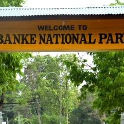 Banke National Park