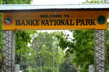 Banke National Park: A Natural Wonder in Nepal