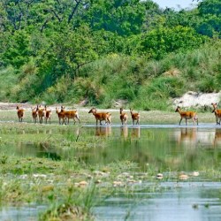 Bardiya National Park