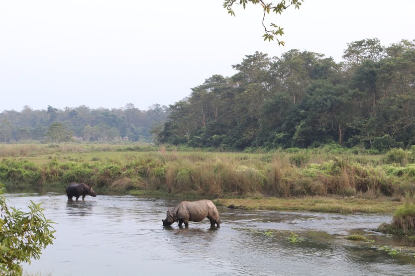 Chitwan National Park: World heritage site
