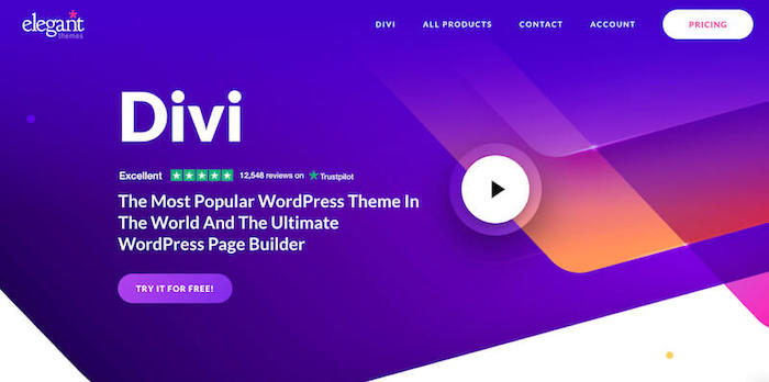 Divi WordPress theme