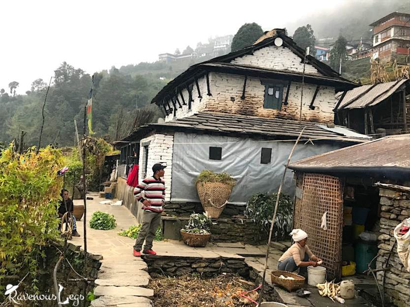Annapurna Conservation Area: A Nature Lover's Paradise 6 Annapurna Conservation Area Project - protection of cultural heritage & ethnic tribes