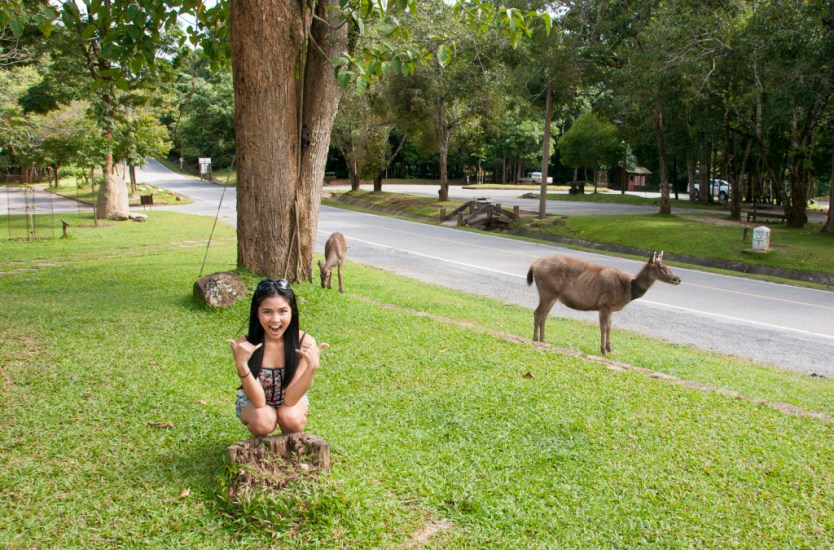 5 Best Places to Visit in Thailand 2 Be Wild – Khao Yai National Park