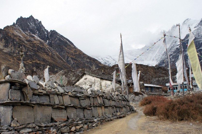 Kynjen valley Langtang Rasuwa