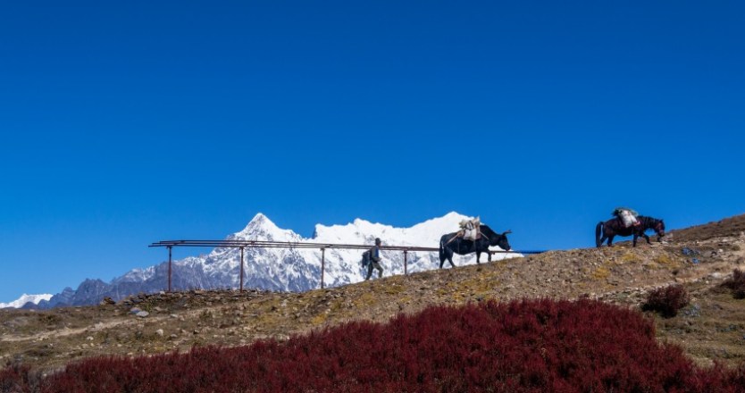 Langtang National Park