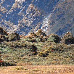 Landscape in the Makalu Barun National Park
