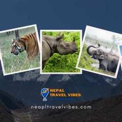 National Parks in Nepal