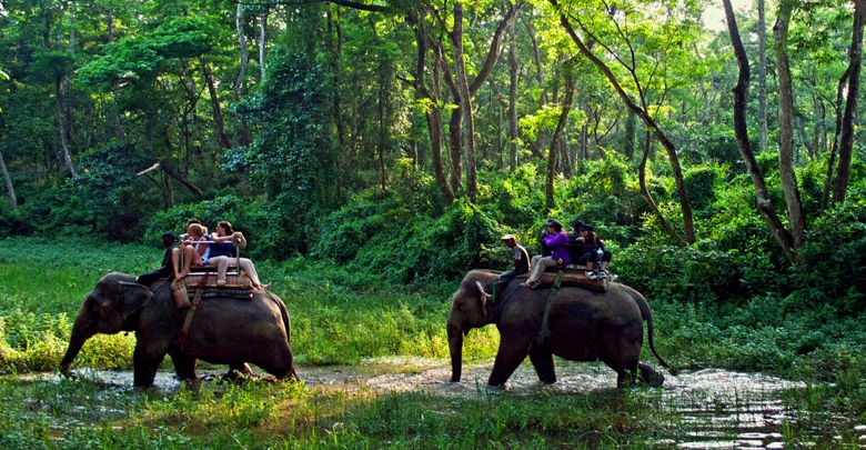 Parsa National Park: A Paradise for Wildlife Enthusiasts 4 Parsa National Park safari