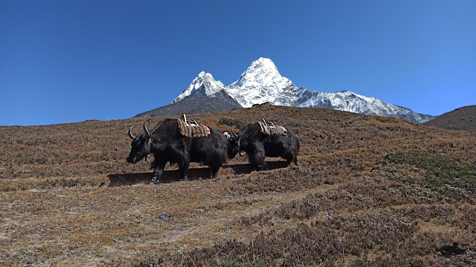 Sagarmatha National Park