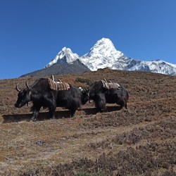 Sagarmatha National Park