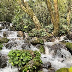 Shivapuri Nagarjun National Park