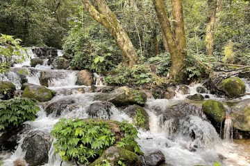 Shivapuri Nagarjun National Park: A Park in the Heart of Nepal
