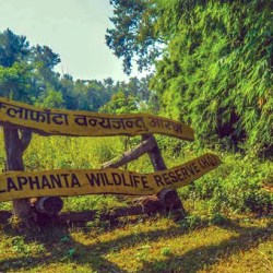 Shuklaphanta National Park