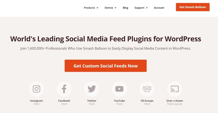 Smash Balloon is one of the best WordPress plugins for displaying social media feeds on your site.