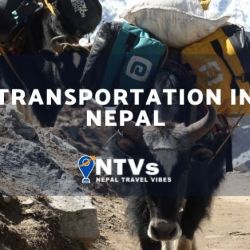 Transportation in Nepal