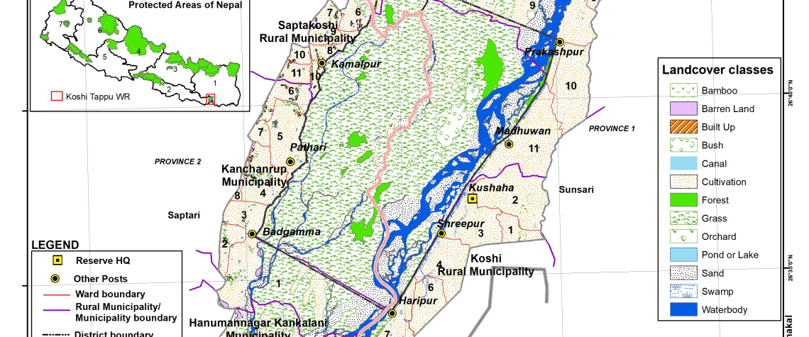 Koshi Tappu Wildlife Reserve