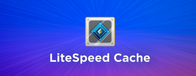 The LiteSpeed cache plugin.