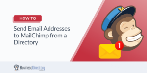 How to Use Mailchimp integrations to save emails